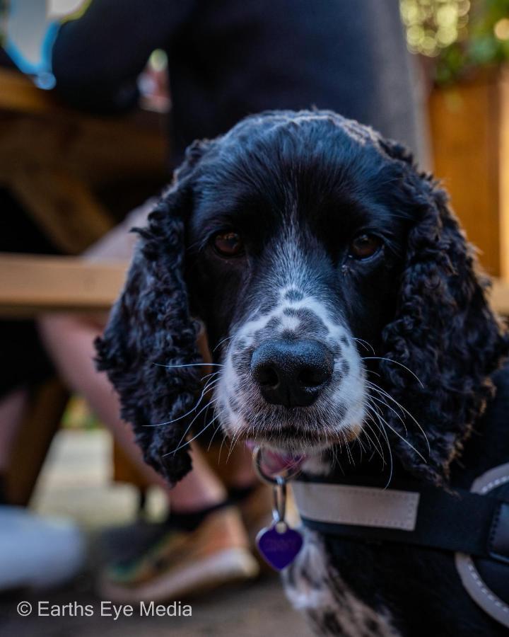 The Bear Inn Llandovery Εξωτερικό φωτογραφία